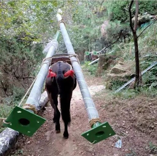 乐清骡马运输队